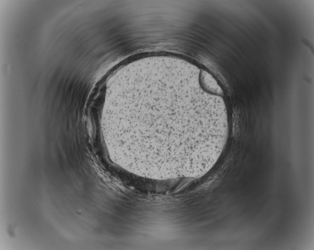 X0000099470876200806061217