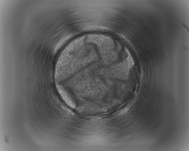 X0000099470877200806061217