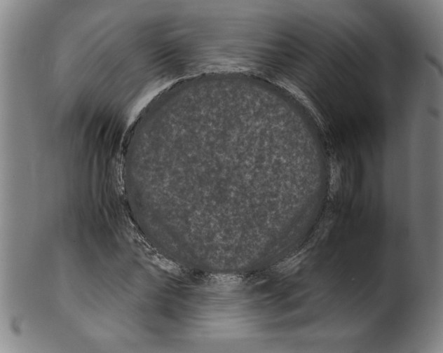 X0000099470878200806061217