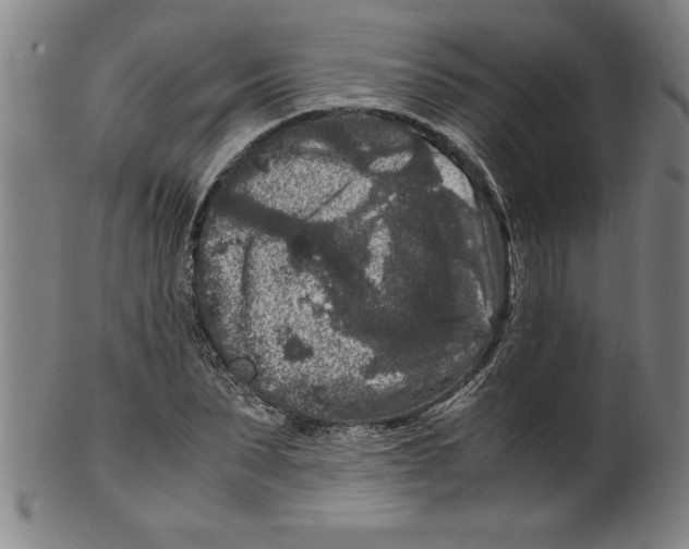 X0000099470879200806061217