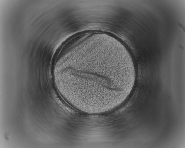 X0000099470880200806061217