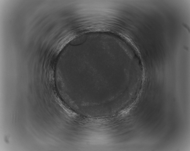 X0000099470881200806061217