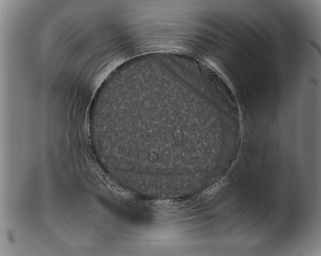 X0000099470883200806061217