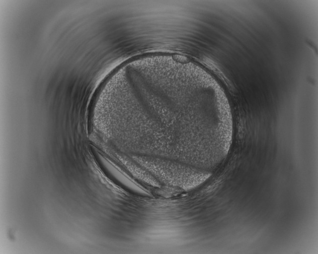 X0000099470884200806061217