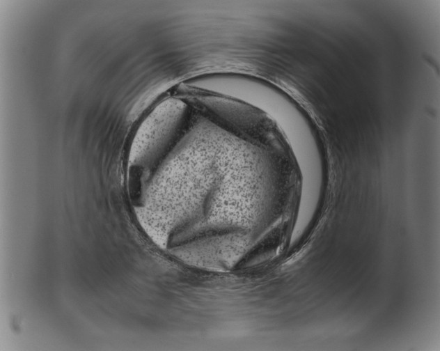 X0000099470885200806061217