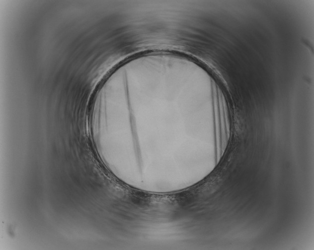 X0000099470887200806061217