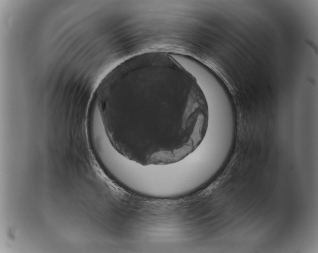 X0000099470888200806061217