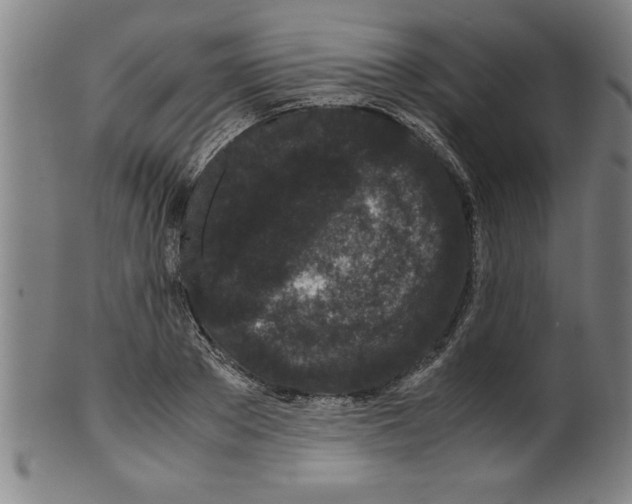 X0000099470889200806061217