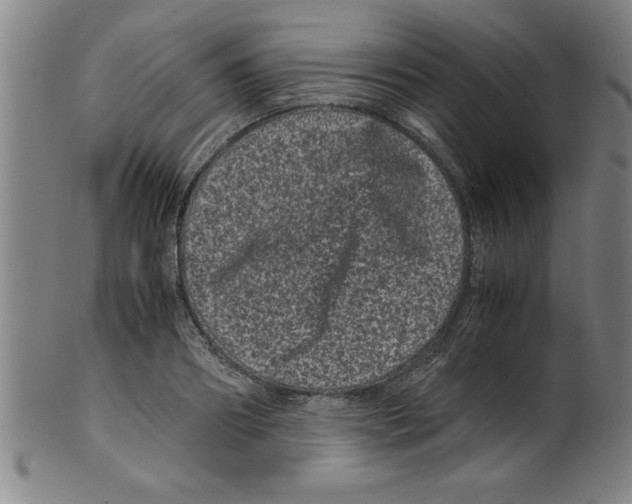 X0000099470890200806061217