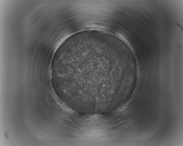 X0000099470891200806061217