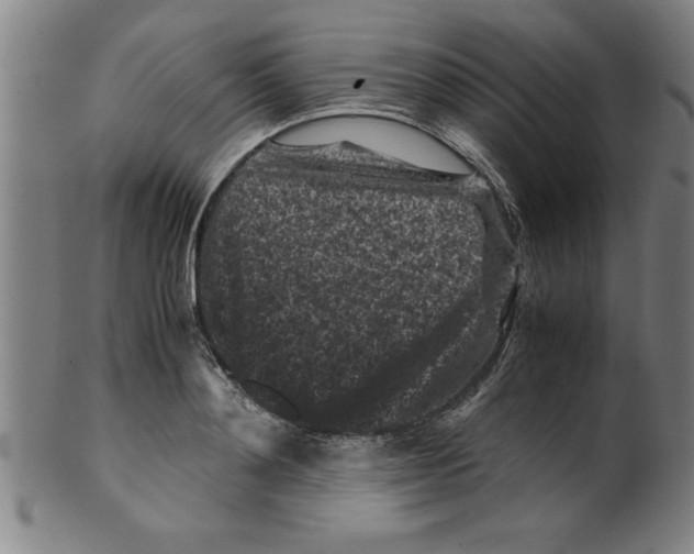 X0000099470892200806061217