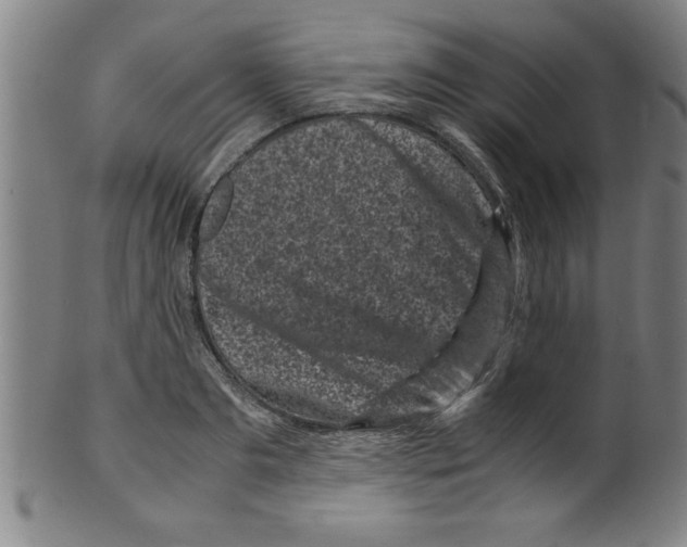 X0000099470893200806061217