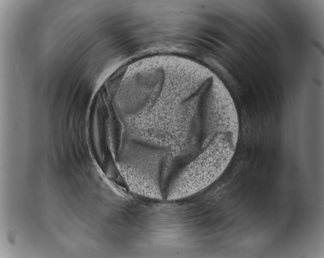 X0000099470894200806061217