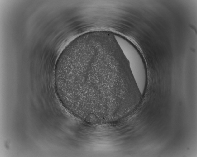 X0000099470895200806061217