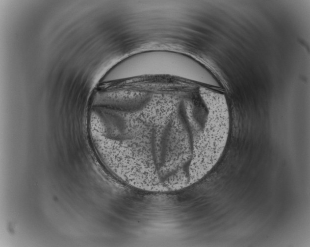 X0000099470896200806061217