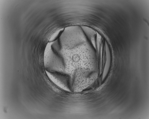 X0000099470897200806061217