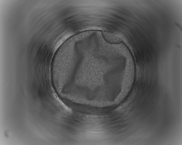 X0000099470898200806061217