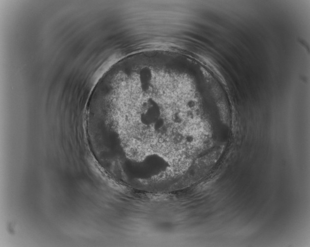 X0000099470899200806061217