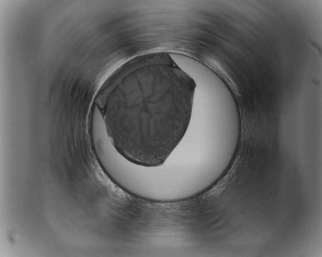 X0000099470900200806061217