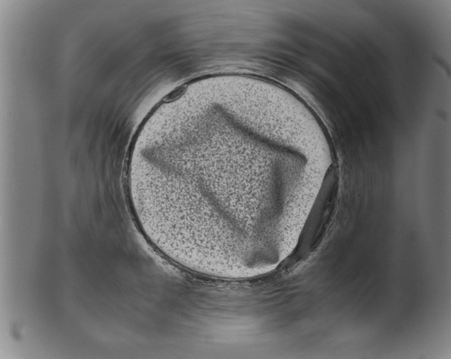 X0000099470901200806061217