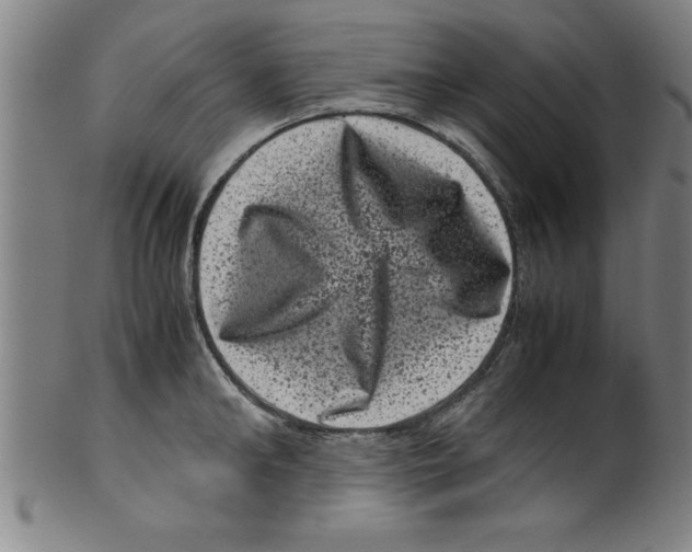 X0000099470902200806061217