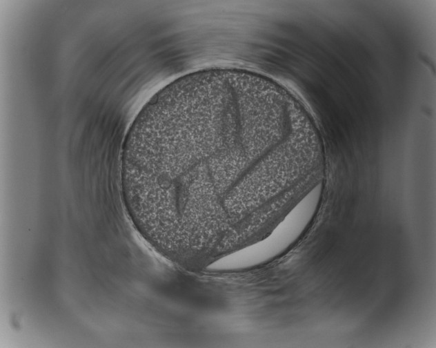 X0000099470903200806061217