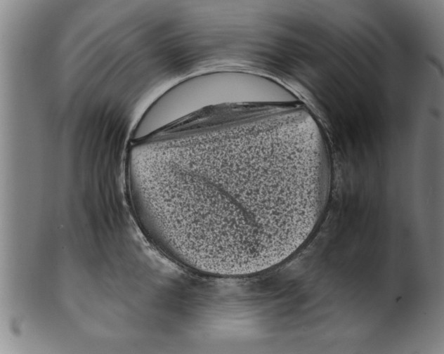 X0000099470904200806061217