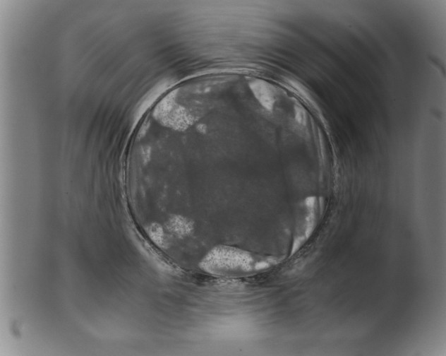 X0000099470907200806061217