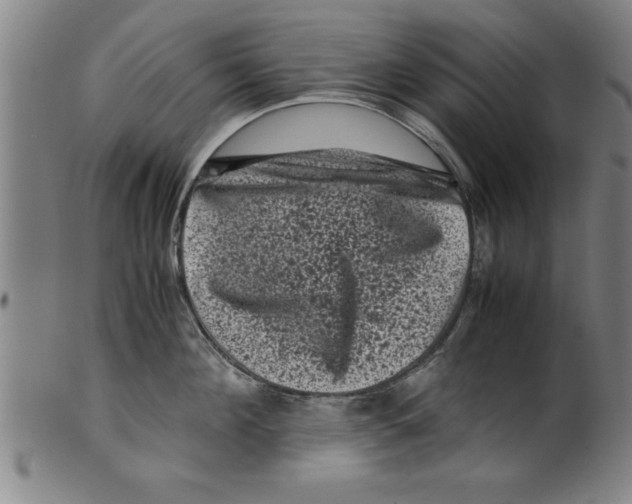 X0000099470908200806061217