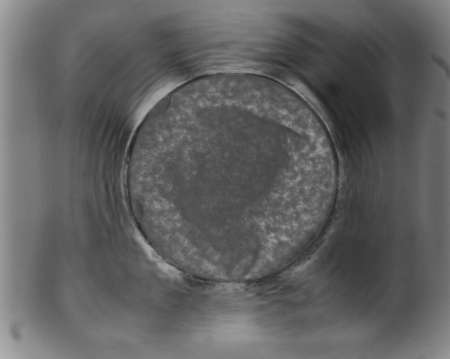 X0000099470909200806061217