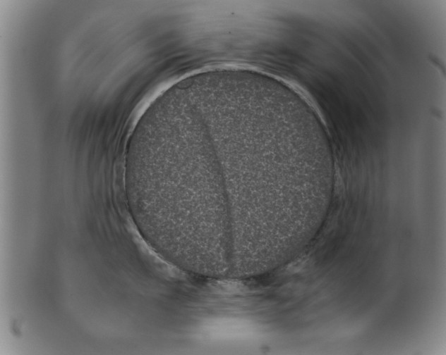 X0000099470911200806061217