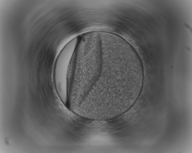 X0000099470912200806061217