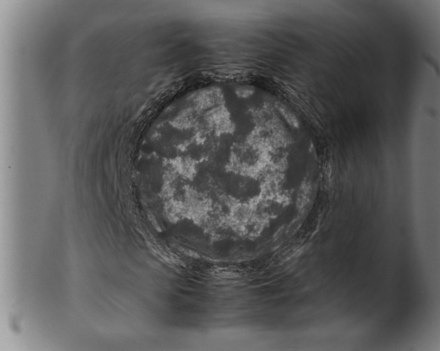 X0000099470913200806061216