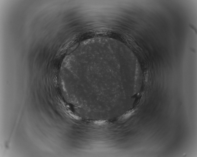 X0000099470916200806061216