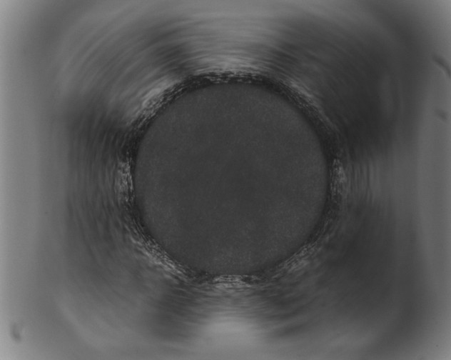 X0000099470918200806061216