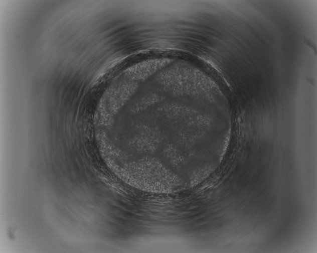 X0000099470919200806061216