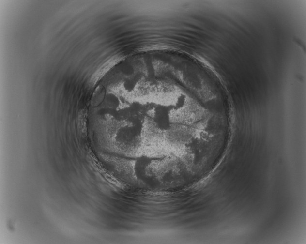 X0000099470921200806061216