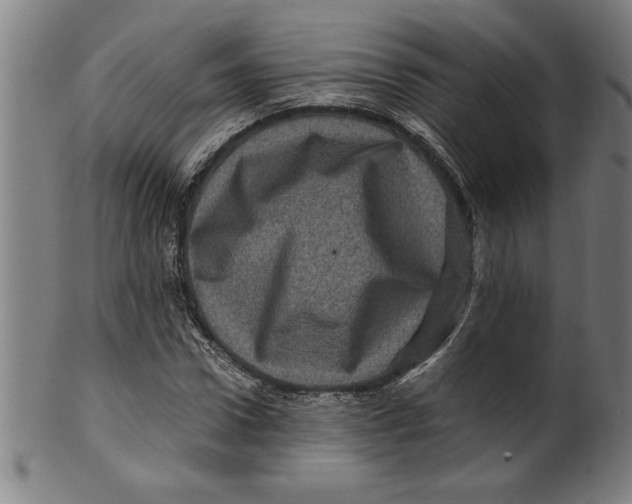 X0000099470922200806061216