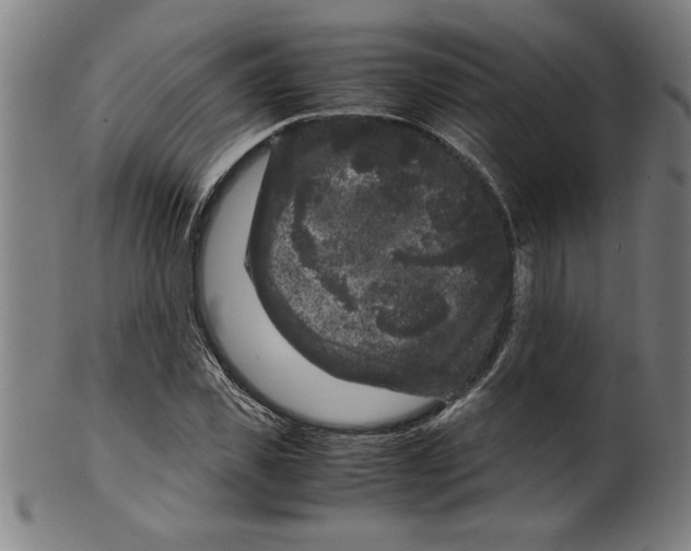 X0000099470925200806061216