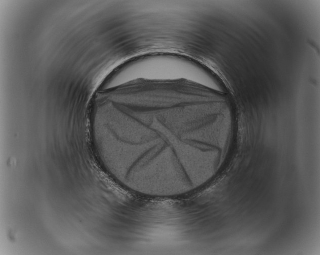 X0000099470926200806061216