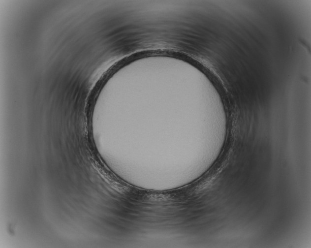 X0000099470927200806061216