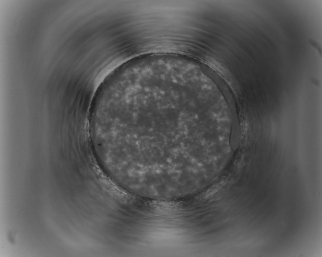 X0000099470928200806061216