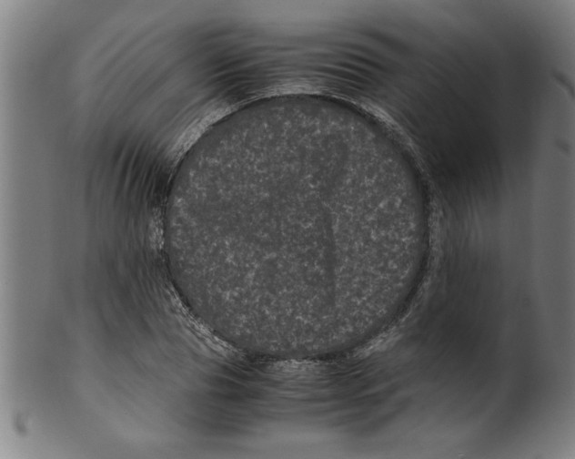 X0000099470929200806061216