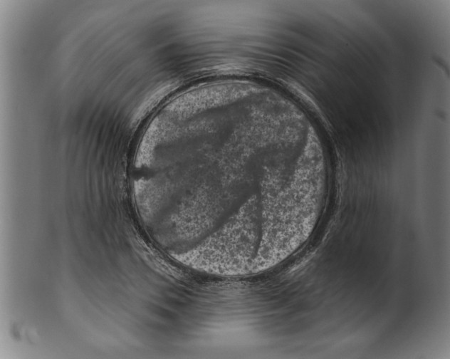 X0000099470930200806061216