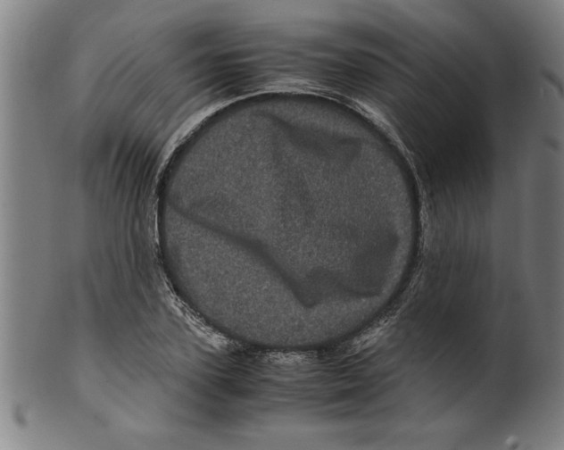 X0000099470931200806061216