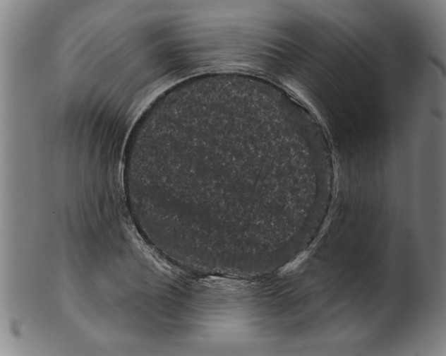 X0000099470932200806061216