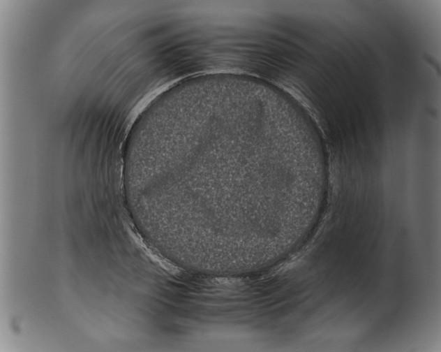 X0000099470933200806061216