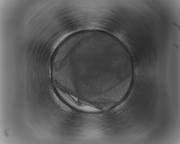 X0000099470934200806061216