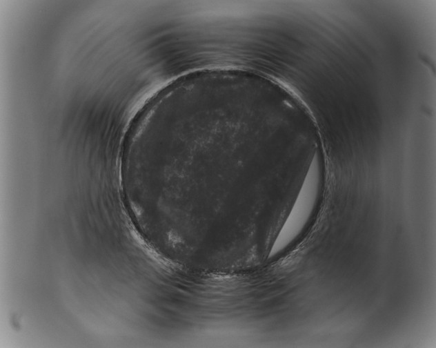 X0000099470935200806061216