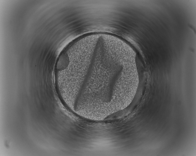 X0000099470936200806061216